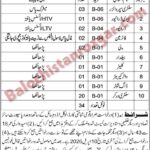 Municipal Committee MC Sibi