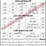 Department Of Archaeology & Museums Quetta