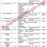 Public Sector Organization Balochistan