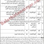 Population Welfare Department Balochistan