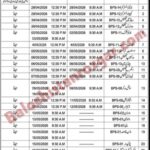 Social Welfare Department Balochistan