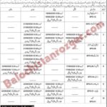 Social Welfare Department Balochistan