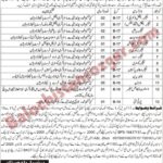 Balochistan Residential College BRC Zhob