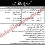 Government Organization Quetta