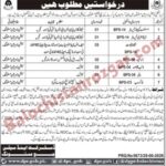 Home 19 District and Session Judge Mastung