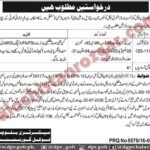 Local Govt Department Balochistan