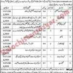 Home 22 Health Department Usta Muhammad