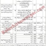 Jobs 2 Directorate General Mines and Minerals Balochistan
