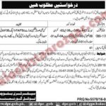 Local Government Board Balochistan