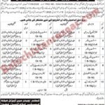 Health services Kalat Division
