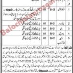 Home 20 District Council Ziarat