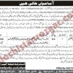 Health Department Usta Muhammad