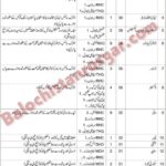 Health Department Gwadar