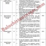 Home 21 Planning and Development Department Balochistan jobs 2026